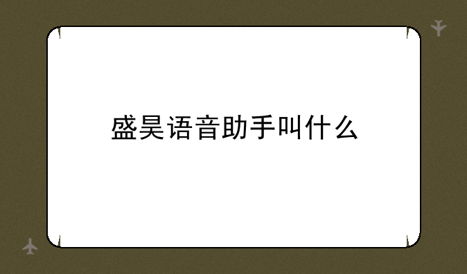 盛昊语音助手叫什么