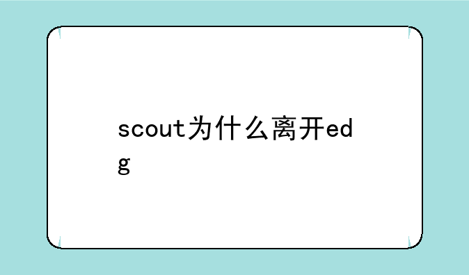 scout为什么离开edg