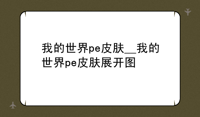 我的世界pe皮肤__我的世界pe皮肤展开图